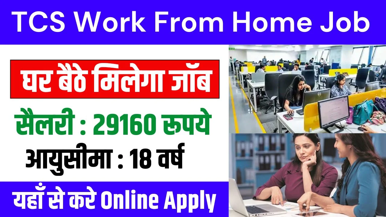 TCS Work From Home Job 2024